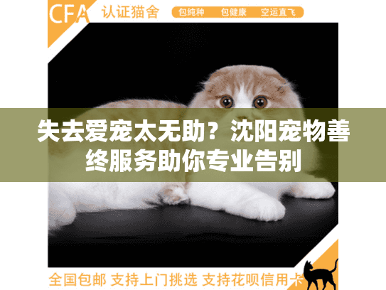 失去爱宠太无助？沈阳宠物善终服务助你专业告别