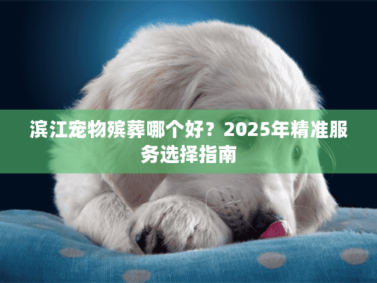 滨江宠物殡葬哪个好？2025年精准服务选择指南