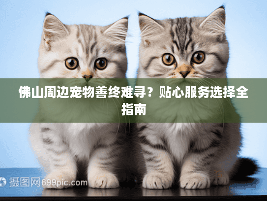 佛山周边宠物善终难寻？贴心服务选择全指南