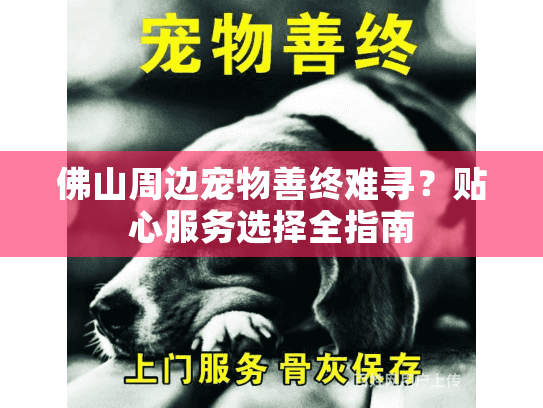 佛山周边宠物善终难寻？贴心服务选择全指南