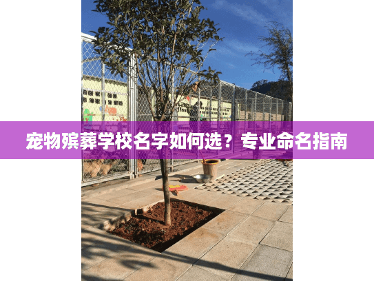 宠物殡葬学校名字如何选？专业命名指南