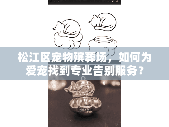 松江区宠物殡葬场，如何为爱宠找到专业告别服务？