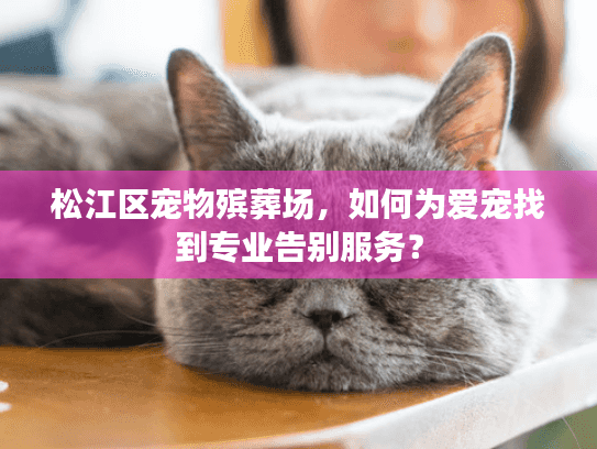 松江区宠物殡葬场,如何为爱宠找到专业告别服务?