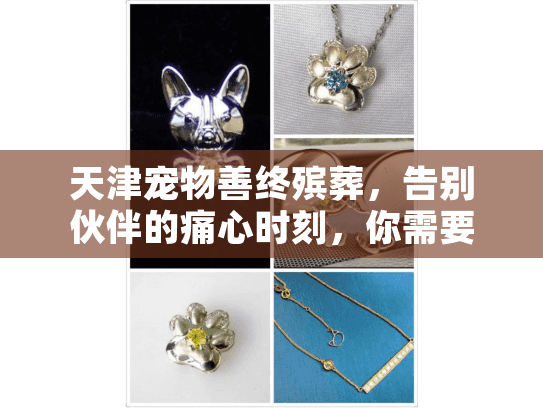 天津宠物善终殡葬，告别伙伴的痛心时刻，你需要的关键服务