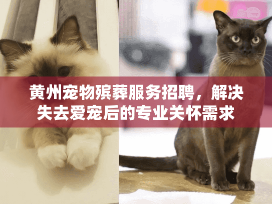 黄州宠物殡葬服务招聘，解决失去爱宠后的专业关怀需求