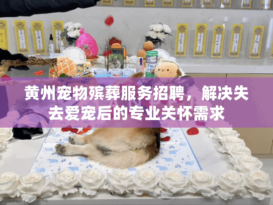 黄州宠物殡葬服务招聘，解决失去爱宠后的专业关怀需求