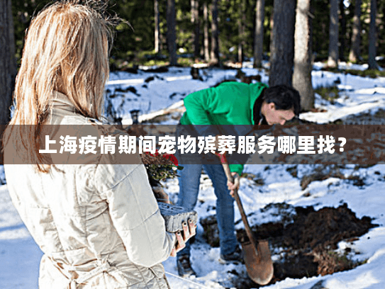 上海疫情期间宠物殡葬服务哪里找？