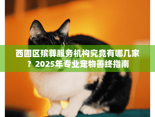 西固区殡葬服务机构究竟有哪几家？2025年专业宠物善终指南