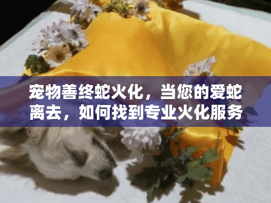 宠物善终蛇火化，当您的爱蛇离去，如何找到专业火化服务？