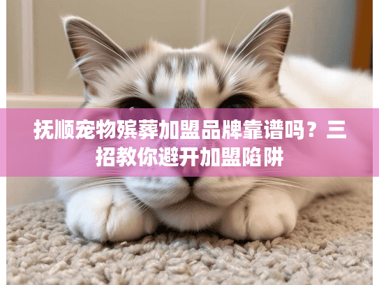 抚顺宠物殡葬加盟品牌靠谱吗？三招教你避开加盟陷阱