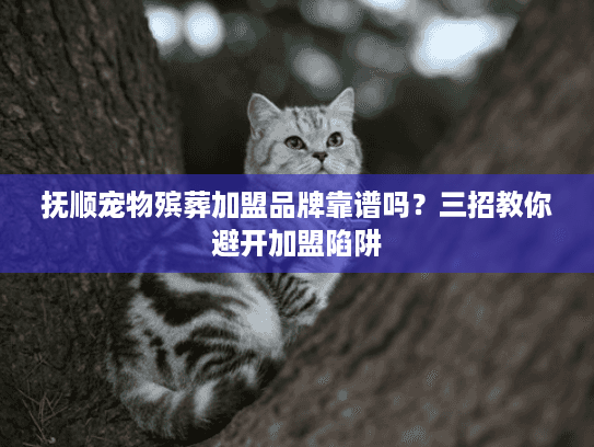 抚顺宠物殡葬加盟品牌靠谱吗？三招教你避开加盟陷阱