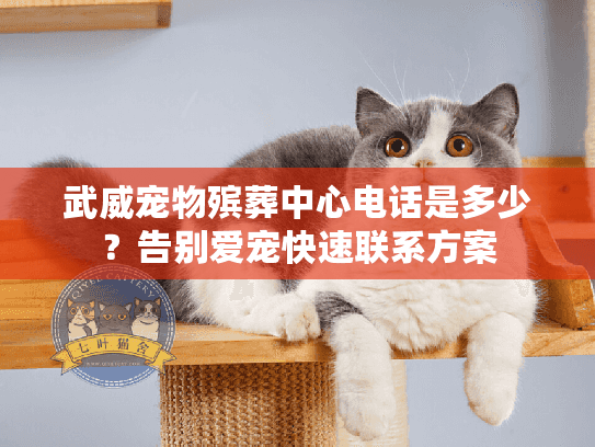 武威宠物殡葬中心电话是多少？告别爱宠快速联系方案