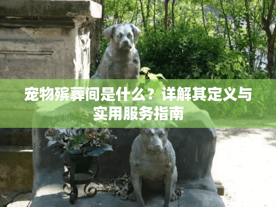 宠物殡葬间是什么？详解其定义与实用服务指南