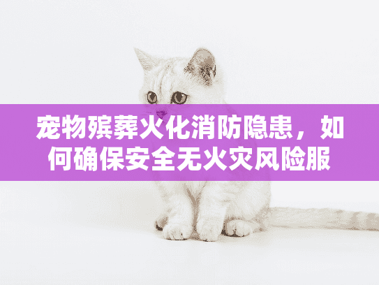 宠物殡葬火化消防隐患，如何确保安全无火灾风险服务？