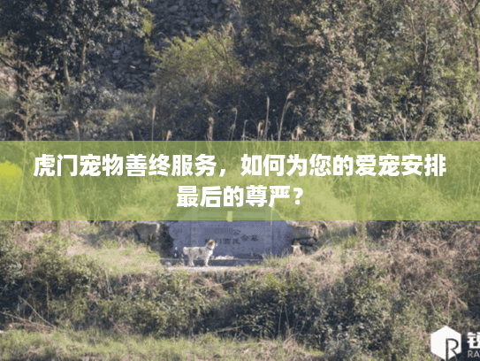 虎门宠物善终服务，如何为您的爱宠安排最后的尊严？