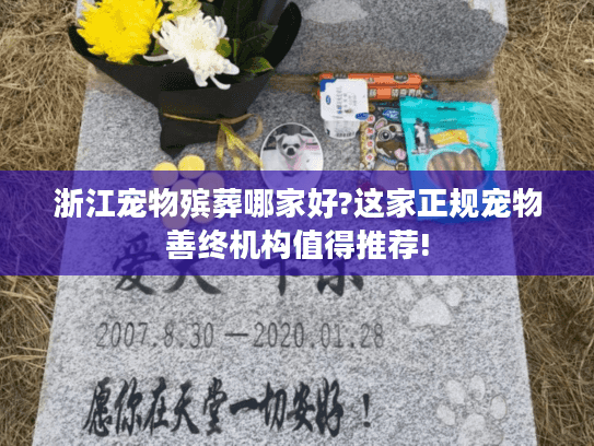 浙江宠物殡葬哪家好?这家正规宠物善终机构值得推荐!