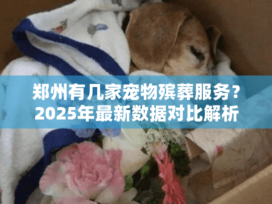 郑州有几家宠物殡葬服务？2025年最新数据对比解析