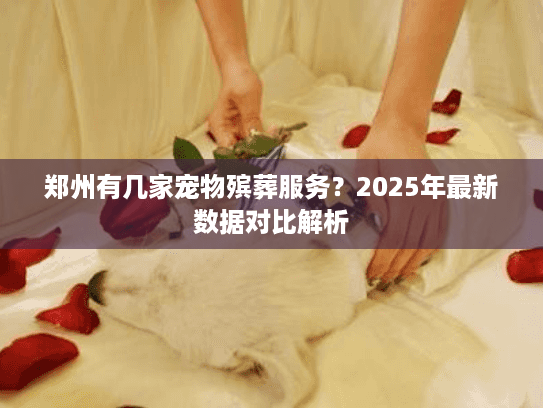 郑州有几家宠物殡葬服务？2025年最新数据对比解析