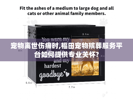 宠物离世伤痛时,福田宠物殡葬服务平台如何提供专业关怀?