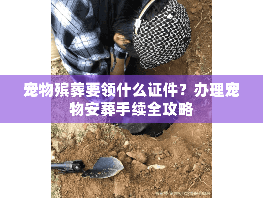 宠物殡葬要领什么证件？办理宠物安葬手续全攻略