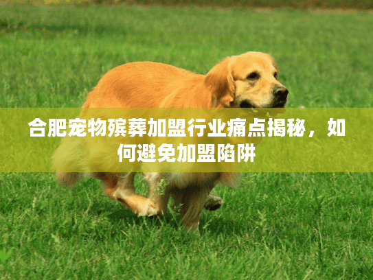 合肥宠物殡葬加盟行业痛点揭秘，如何避免加盟陷阱