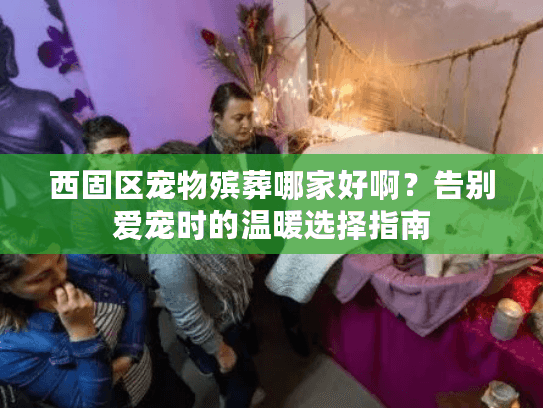 西固区宠物殡葬哪家好啊？告别爱宠时的温暖选择指南