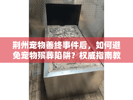 荆州宠物善终事件后，如何避免宠物殡葬陷阱？权威指南教你避坑