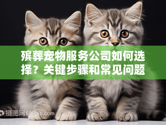 殡葬宠物服务公司如何选择？关键步骤和常见问题解答