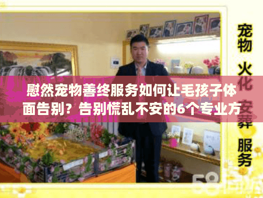 慰然宠物善终服务如何让毛孩子体面告别？告别慌乱不安的6个专业方案