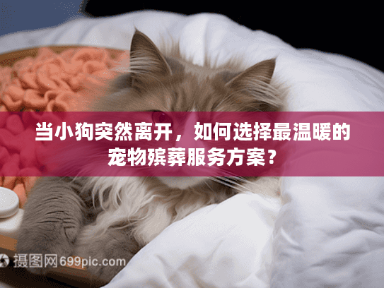 当小狗突然离开，如何选择最温暖的宠物殡葬服务方案？