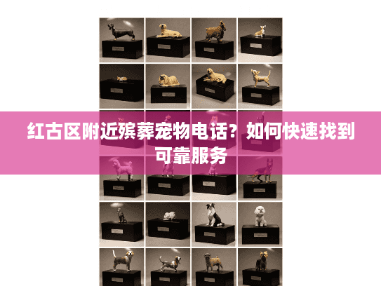 红古区附近殡葬宠物电话？如何快速找到可靠服务