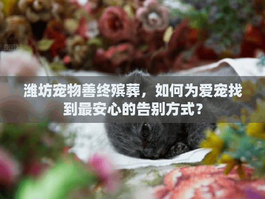 潍坊宠物善终殡葬，如何为爱宠找到最安心的告别方式？