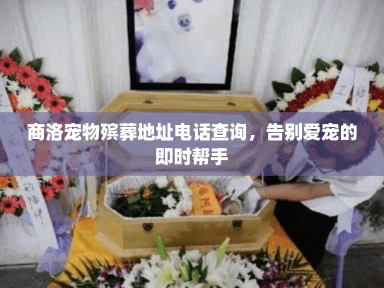 商洛宠物殡葬地址电话查询，告别爱宠的即时帮手