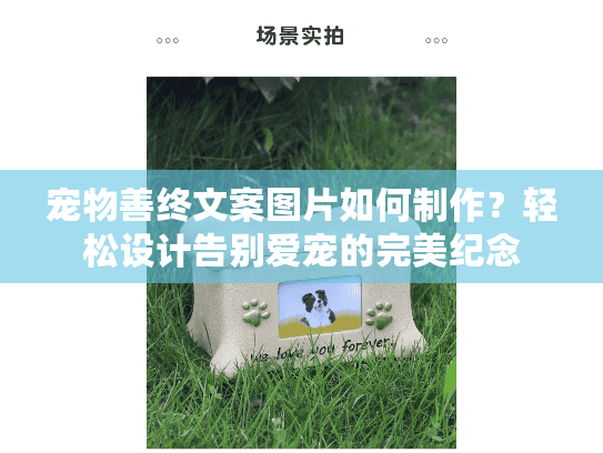 宠物善终文案图片如何制作？轻松设计告别爱宠的完美纪念