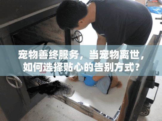 宠物善终服务，当宠物离世，如何选择贴心的告别方式？