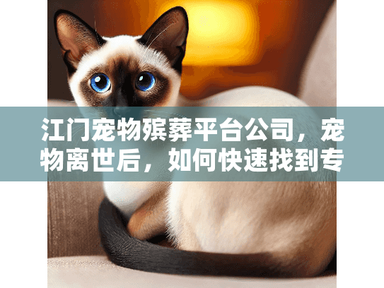 江门宠物殡葬平台公司，宠物离世后，如何快速找到专业告别服务？