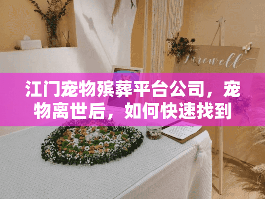江门宠物殡葬平台公司，宠物离世后，如何快速找到专业告别服务？