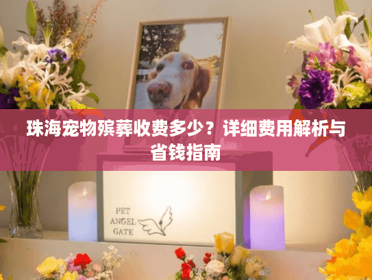 珠海宠物殡葬收费多少？详细费用解析与省钱指南