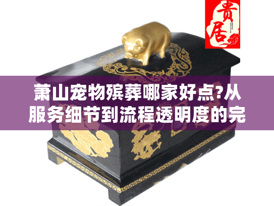萧山宠物殡葬哪家好点?从服务细节到流程透明度的完整指南