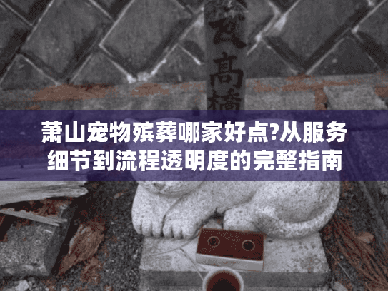萧山宠物殡葬哪家好点?从服务细节到流程透明度的完整指南
