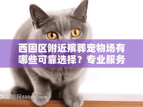 西固区附近殡葬宠物场有哪些可靠选择？专业服务指南为您解答