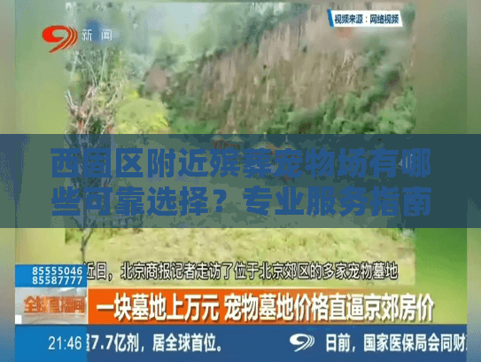 西固区附近殡葬宠物场有哪些可靠选择？专业服务指南为您解答