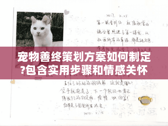 宠物善终策划方案如何制定?包含实用步骤和情感关怀的完整指南