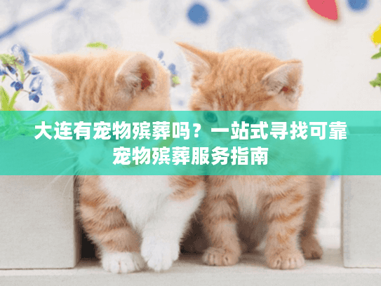大连有宠物殡葬吗？一站式寻找可靠宠物殡葬服务指南