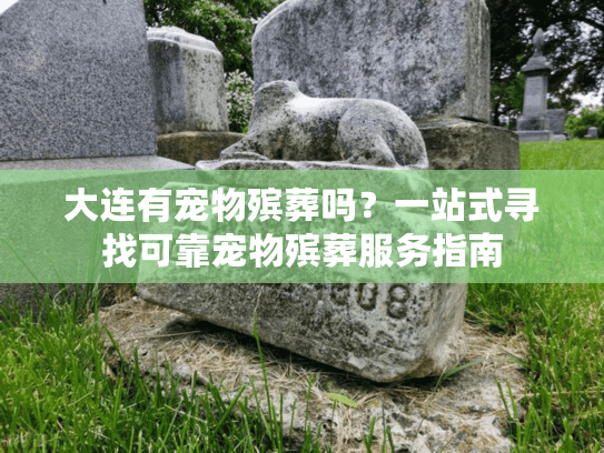 大连有宠物殡葬吗？一站式寻找可靠宠物殡葬服务指南