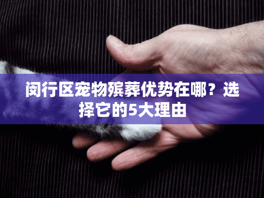 闵行区宠物殡葬优势在哪？选择它的5大理由