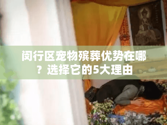闵行区宠物殡葬优势在哪？选择它的5大理由