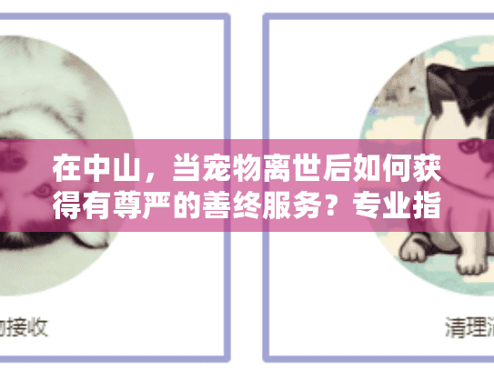 在中山，当宠物离世后如何获得有尊严的善终服务？专业指南