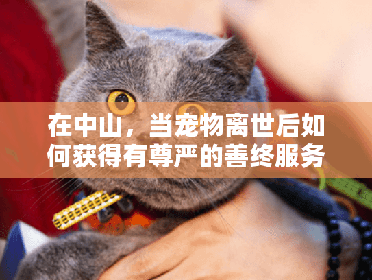 在中山，当宠物离世后如何获得有尊严的善终服务？专业指南