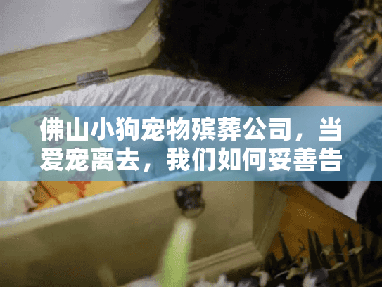 佛山小狗宠物殡葬公司，当爱宠离去，我们如何妥善告别？